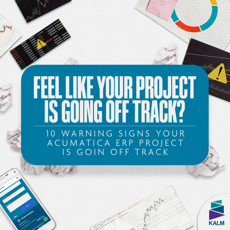 Business team facing challenges in Acumatica ERP implementation