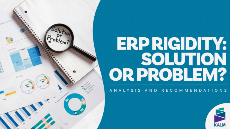 ERP implementation failure rigidity as both a solution and a problem
