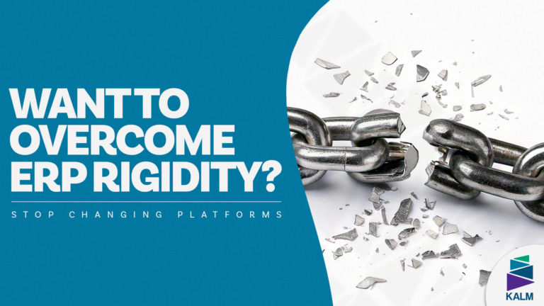 ERP Implemantation failure interfase showing APIs and cloud integrations